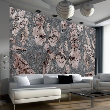 Fotomurale - Grey stopper - 350x245