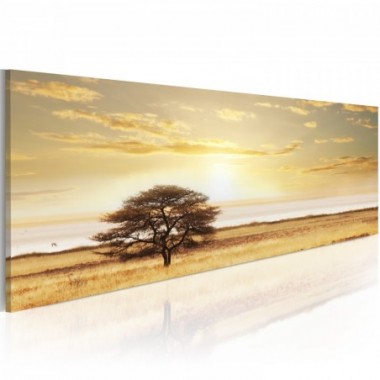 Quadro - Lonely tree on savannah - 135x45