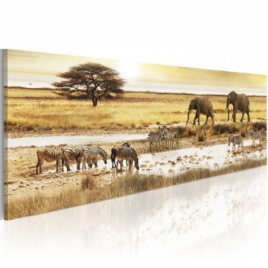 Quadro - Africa: al foro di irrigazione - 135x45