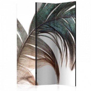 Paravento - Beautiful Feather [Room Dividers] - 135x172