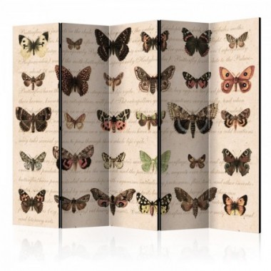 Paravento - Retro Style: Butterflies II [Room...