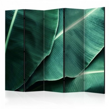 Paravento - Banana Leaf II [Room Dividers] - 225x172
