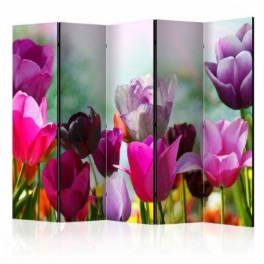 Paravento - Beautiful Tulips II [Room Dividers] -...