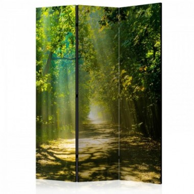 Paravento - Road in Sunlight [Room Dividers] - 135x172