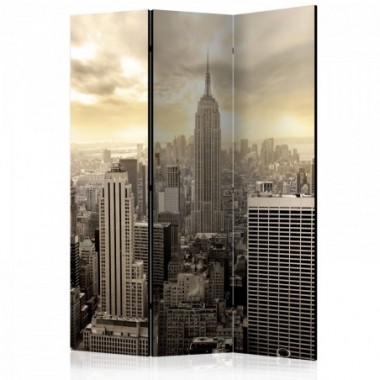 Paravento - Light of New York [Room Dividers] - 135x172