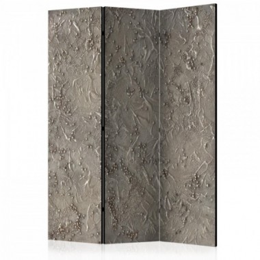 Paravento - Silver Serenade [Room Dividers] - 135x172