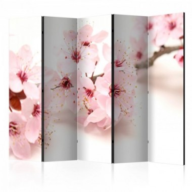 Paravento -  Cherry Blossom II [Room Dividers] -...