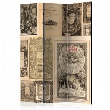 Paravento - Vintage Books [Room Dividers] - 135x172