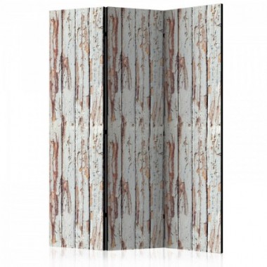 Paravento - Inspired by the Forest [Room Dividers] -...