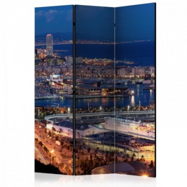 Paravento - Illuminated Barcelona [Room Dividers] -...