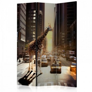 Paravento - Giraffe in the Big City [Room Dividers]...