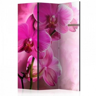 Paravento - Pink Orchid [Room Dividers] - 135x172