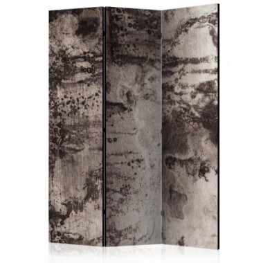 Paravento - Old Metal [Room Dividers] - 135x172