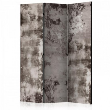 Paravento - Old Plaster [Room Dividers] - 135x172
