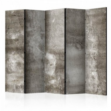 Paravento - Cold Concrete II [Room Dividers] - 225x172