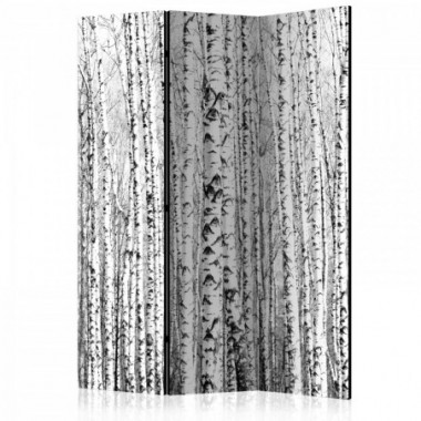 Paravento - Birch forest [Room Dividers] - 135x172