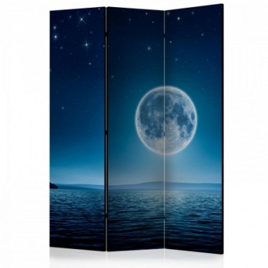 Paravento - Moonlit night [Room Dividers] - 135x172