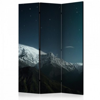 Paravento - Northern lights [Room Dividers] - 135x172