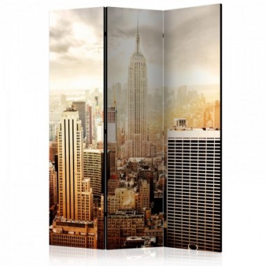 Paravento - Uncombed by wind  [Room Dividers] - 135x172