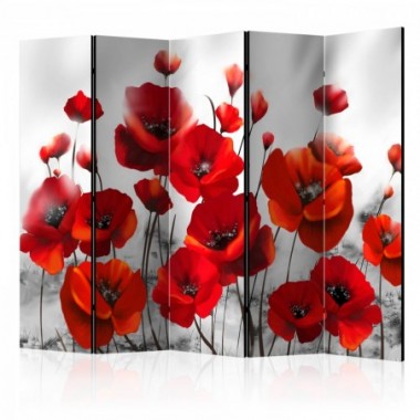 Paravento - Poppies in the Moonlight II [Room...