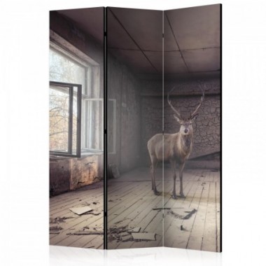 Paravento - Lost [Room Dividers] - 135x172