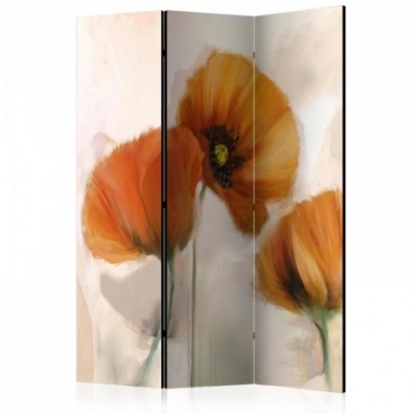 Paravento - poppies - vintage [Room Dividers] - 135x172