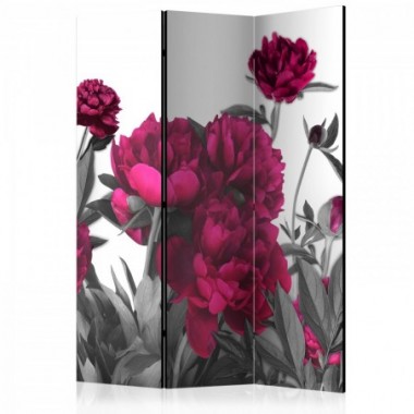 Paravento - Lush meadow [Room Dividers] - 135x172