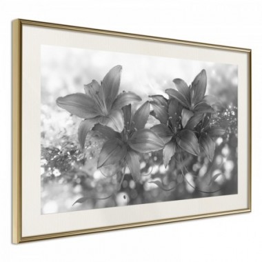 Poster - Silver Bouquet [Poster] - 45x30