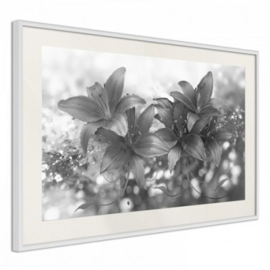 Poster - Silver Bouquet [Poster] - 30x20