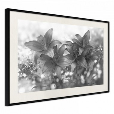 Poster - Silver Bouquet [Poster] - 90x60