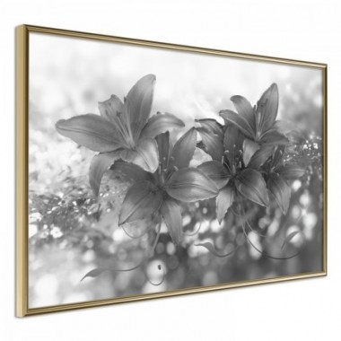 Poster - Silver Bouquet [Poster] - 90x60