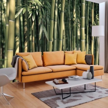 Fotomurale - Bamboo Exotic - 400x280