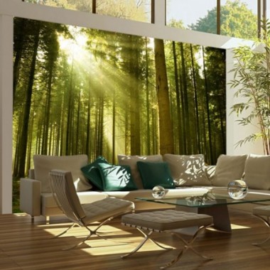 Fotomurale - Foresta di pini - 400x309