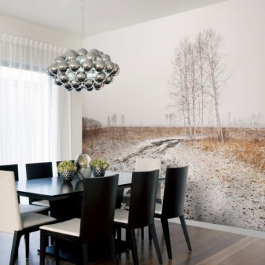 Fotomurale - Winter field - 400x309