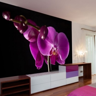 Fotomurale - elegante  orchidea - 400x309