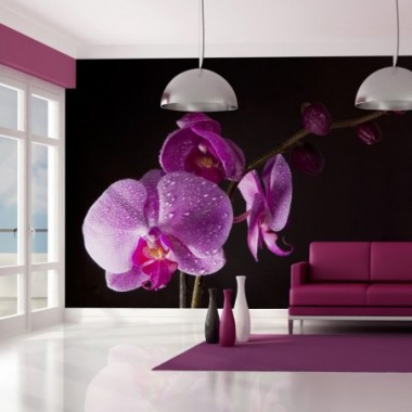 Fotomurale - di buon gusto  orchidea - 400x309