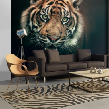 Fotomurale - Tigre del Bengala - 400x309