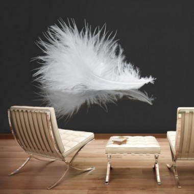 Fotomurale - White feather - 400x309