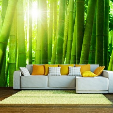 Fotomurale - Sole e bambù - 400x309