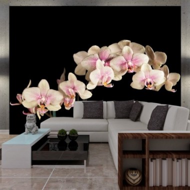 Fotomurale - Orchidea in fiore - 400x309