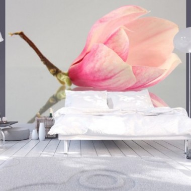 Fotomurale - Fiore di magnolia solitario - 400x309