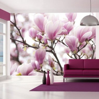 Fotomurale - Rami di magnolia in fiore - 400x309