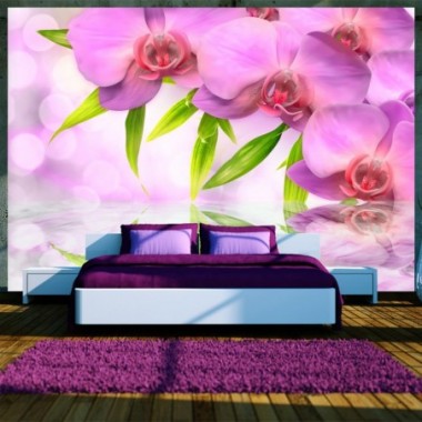 Fotomurale - Orchidee color lillà - 400x280