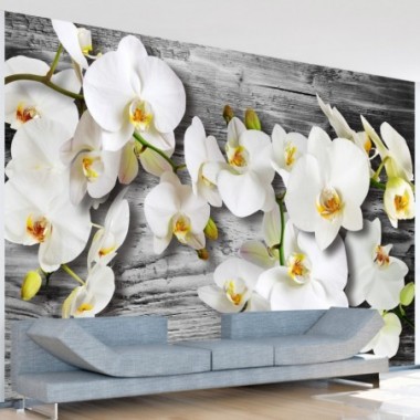Fotomurale - Orchidee insensibili III - 400x280