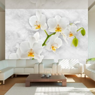 Fotomurale - Lirica orchidea - bianco - 400x280