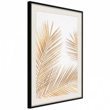 Poster - Golden Palm Leaves [Poster] - 20x30