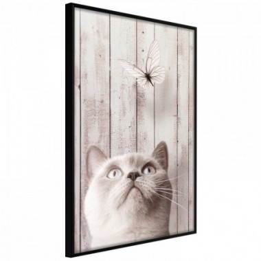 Poster - Cat's Nature [Poster] - 20x30