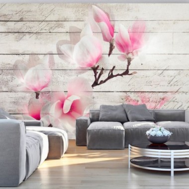 Fotomurale - Delicatezza della magnolia - 100x70