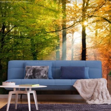 Fotomurale adesivo - Forest Colours - 98x70