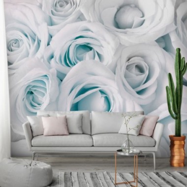 Fotomurale adesivo - Satin Rose (Turquoise) - 98x70